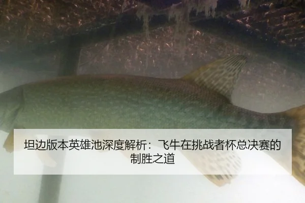 tan-bian-ban-ben-ying-xiong-chi-shen-du-jie-xi-fei-niu-zai-tiao-zhan-zhe-bei-zong-jue-sai-de-zhi-sheng-zhi-dao-2-530.jpg