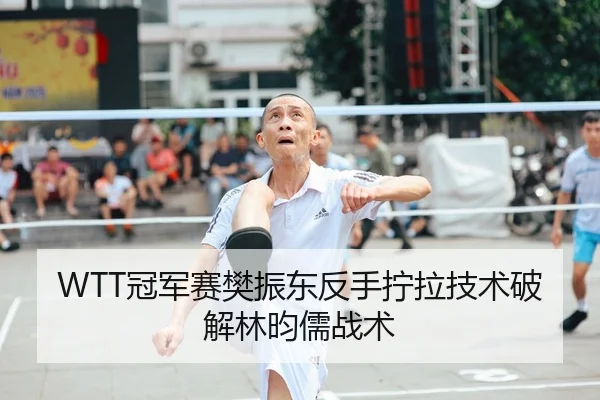 WTT冠军赛樊振东反手拧拉技术破解林昀儒战术