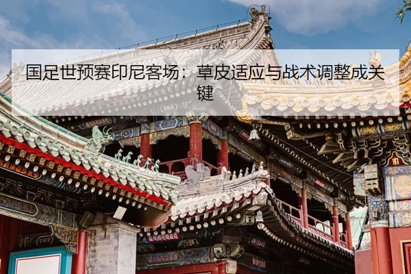 guo-zu-shi-yu-sai-yin-ni-ke-chang-cao-pi-shi-ying-yu-zhan-shu-tiao-zheng-cheng-guan-jian-2-611.jpg