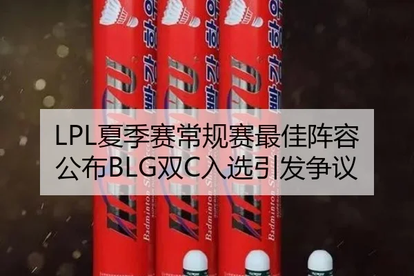 LPL夏季赛常规赛最佳阵容公布BLG双C入选引发争议