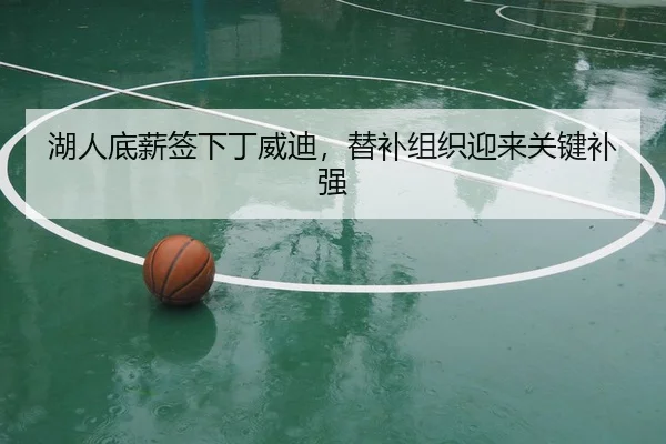 湖人底薪签下丁威迪，替补组织迎来关键补强